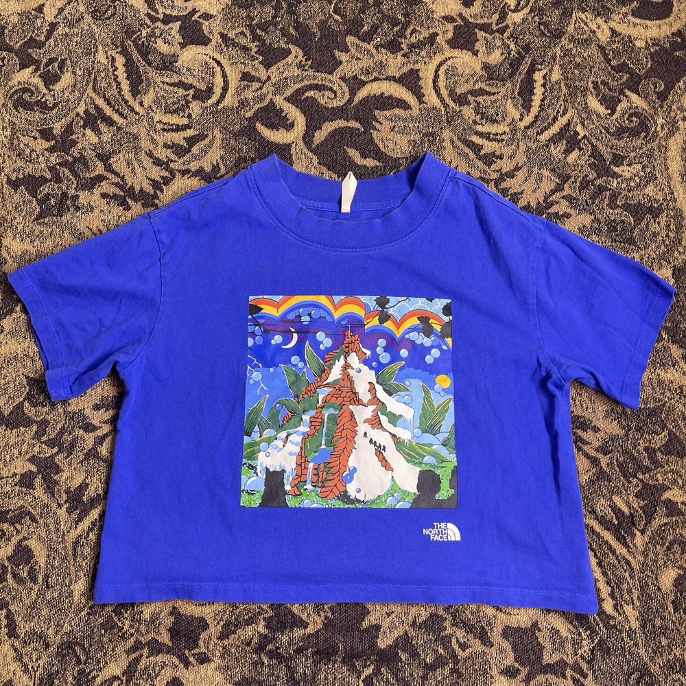 The North Face WOMENS Size M MEDIUM Cropped T Shirt Hiking Purple Mountain